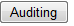 1. Auditing button