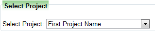2. Project Name Selection Drop down