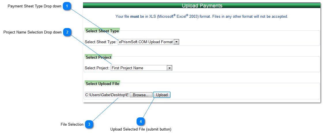 Upload Payment - Excel Template