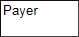 1. Payer Name