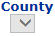 12. County Selection Drop down