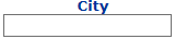 14. City Indication Option