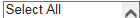 13. Demographic Selection Option