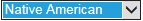 4. Selection Parameters Options